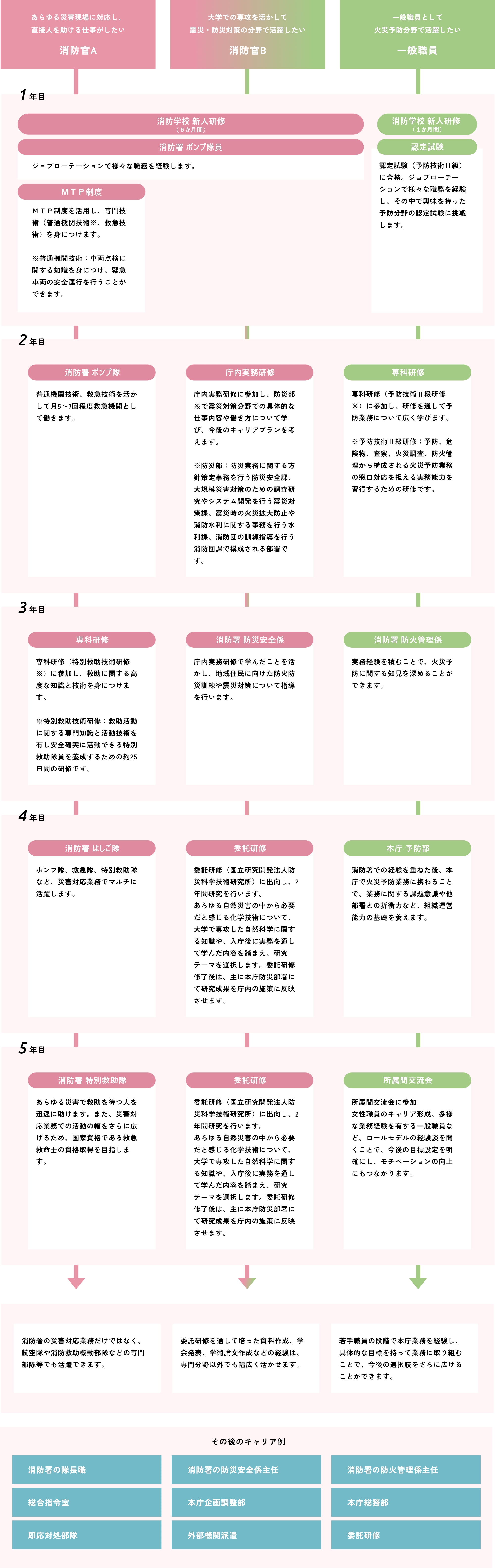 多様なキャリアパス